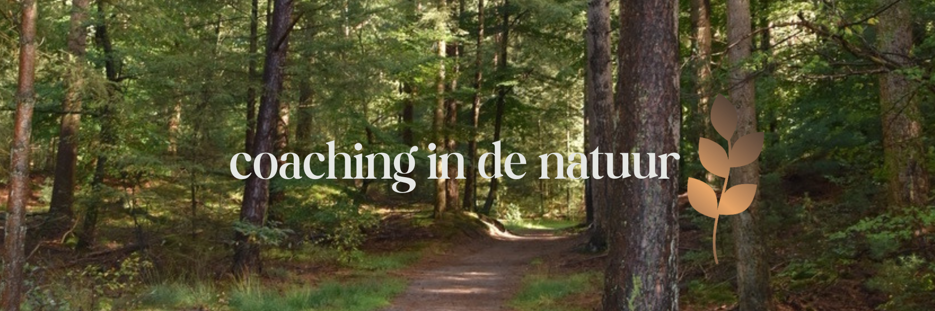 Marianne Zuidveld Coaching in de natuur